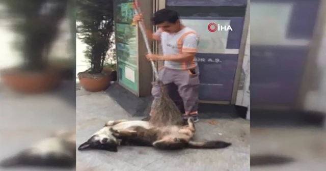 Temizlik işçisinden köpeğe masaj