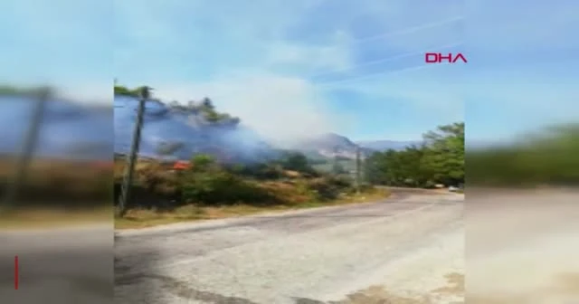 Antalya'da orman yangını