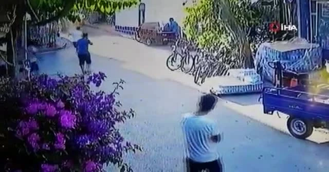 Büyükada’da fayton faciası kamerada