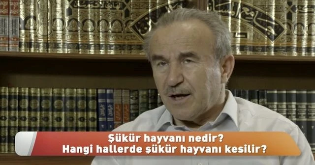 Şükür hayvanı nedir? Hangi hallerde şükür hayvanı kesilir?