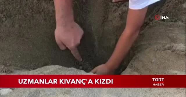 Uzmanlardan Kıvanç Tatlıtuğ'a caretta caretta tepkisi