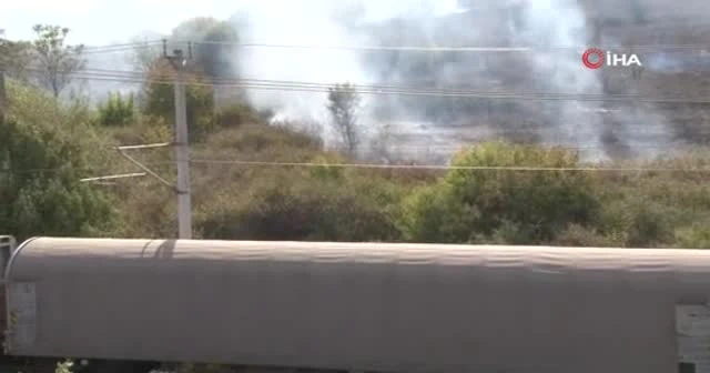 Nükleer Araştırma Merkezi'nde ağaçlık alanda yangın
