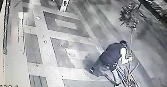 Ağacı kırmaya çalıştı ancak başaramadı