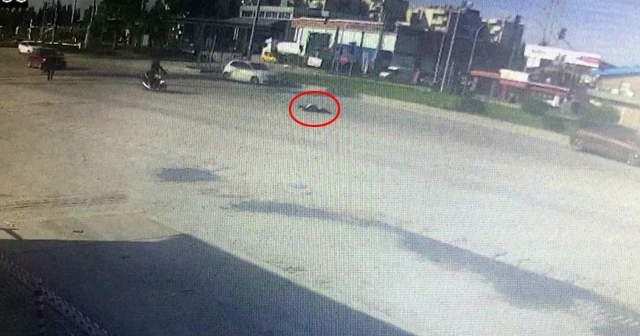 Arkadaşının cenazesinden dönüyordu! Feci şekilde can verdi