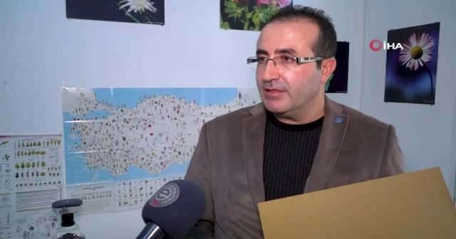 Dünyada sadece Denizli’de bulunan bir bitki türü keşfedildi