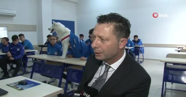 Müdürün internetten sahiplendiği köpek okullu oldu