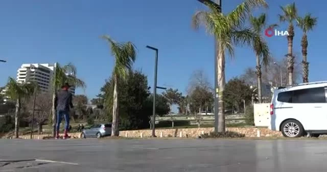 Umulmadık anda ortaya çıkıyor, gören telefona sarılıyor