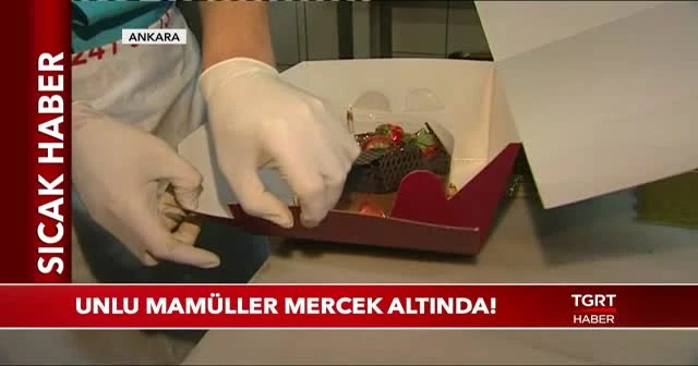 Unlu mamüller mercek altında