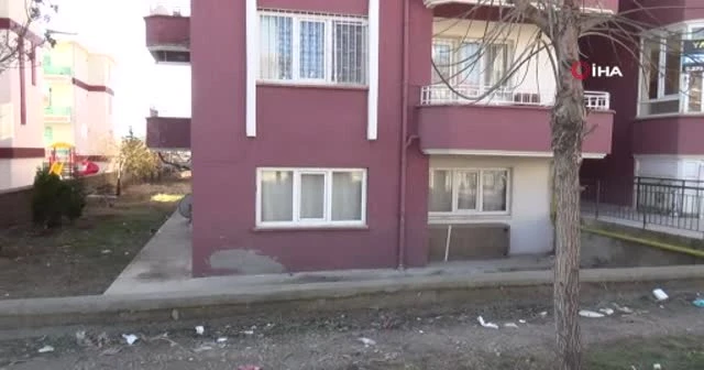 Vahşi cinayetin zanlısı tutuklandı