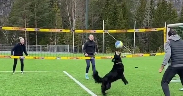 Norveçli voleybolcunun köpeğiyle antrenmanı hayran bıraktı