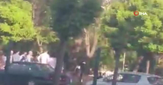 Öldüresiye kavgayı öylece izlediler