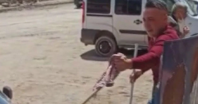 Bakmaya korktukları yılanı eliyle çıkarttı