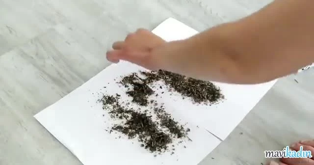Bitki Uzmanı Suna Dumankaya’dan Ayak Kokusuna Son