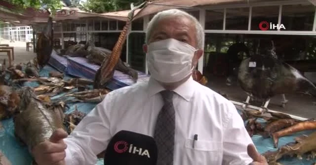 Türkiye Deniz Canlıları Müzesi’nde mumyalanmış balıklara bakım yapıldı