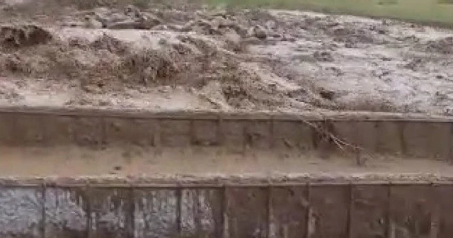 Bingöl'de yağmur ve dolu bir köyde ekine zarar verdi, bazı evleri su bastı