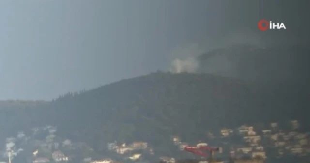 Büyükada’da ormanlık alanda yangın
