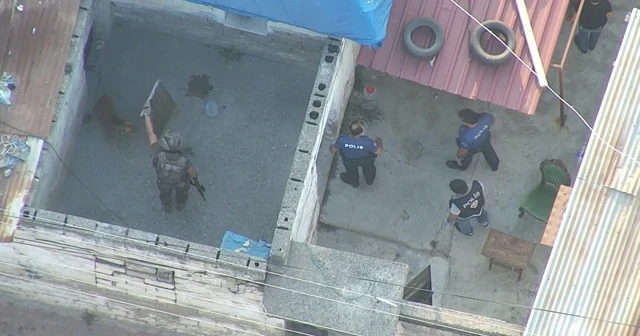 Çete operasyonunda polise pitbull saldırısı