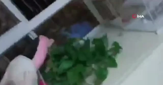Çin'de havai fişek fabrikasında patlama