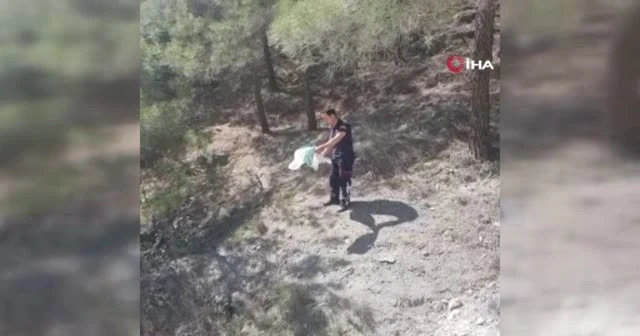 Depodan çıkan yılan doğaya salındı