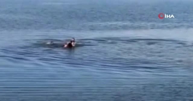 Feribot kaptanı, boğulmak üzere olan şahsı kurtardı