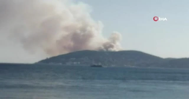 İstanbul Heybeliada'da orman yangını çıktı