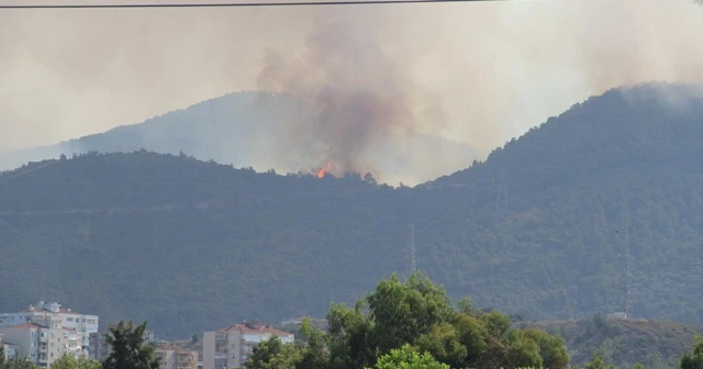 İzmir Balçova'daki orman yangını kontrol altında