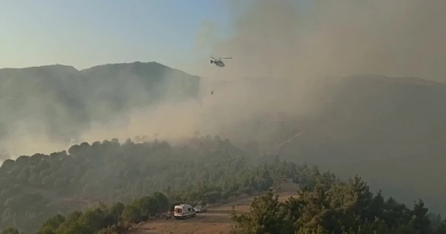 İzmir’deki orman yangını kontrol altına alındı