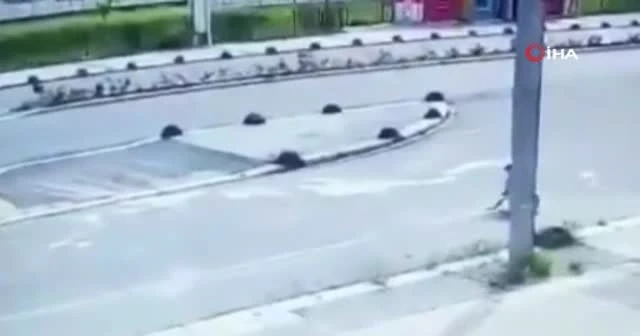 Kan donduran görüntü: Yolda yatan köpeği ezdi