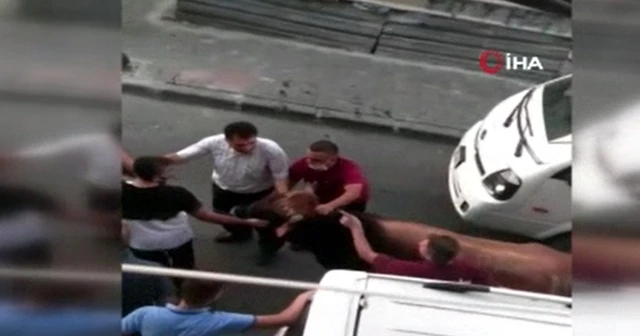 Küçükçekmece'de kurbanlık boğa böyle kaçtı