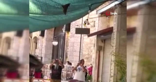 Urla'yı arılar bastı, görenler şaşırdı