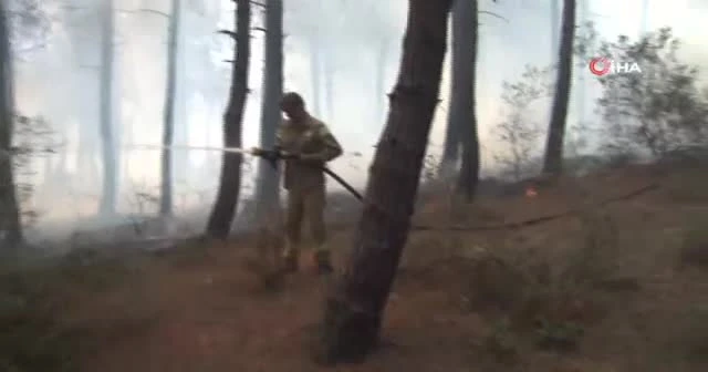 Aydos Ormanında çıkan yangın kontrol altına alındı