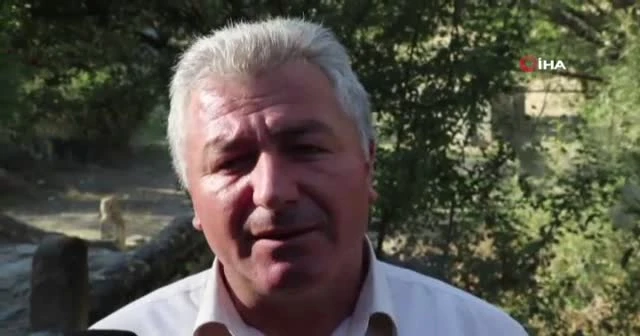 Eşi benzeri yoktu, koruma altına alındı