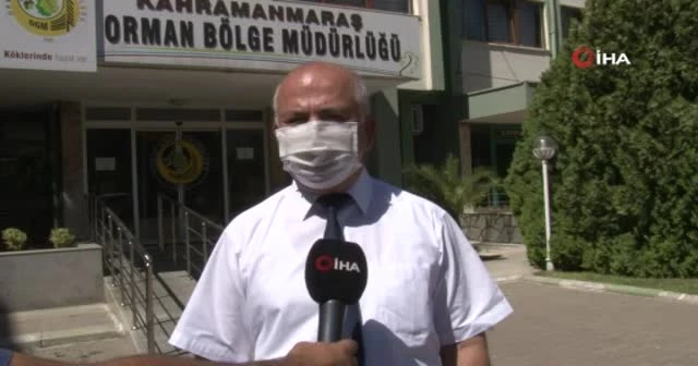 Kahramanmaraş orman bölge sınırlarında 155 yangın çıktı
