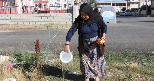 Köpeğe ayakkabısıyla su içirdi