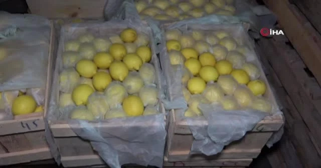 Limon ihracatında ön izin şartı kaldırıldı