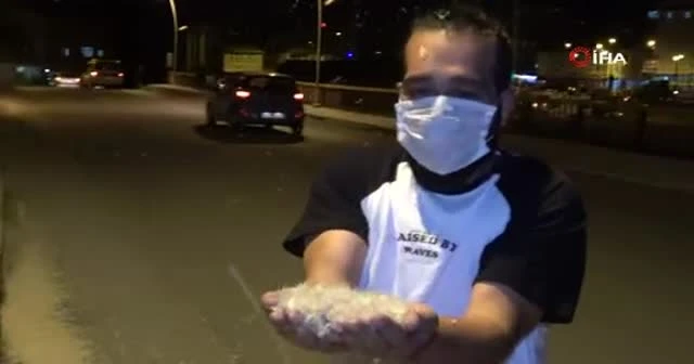 Milyonlarca kelebeğin 'Ölüm uçuşu'