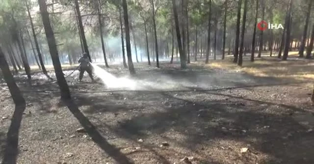 Piknik ateşi 1 hektarlık alanı kül etti