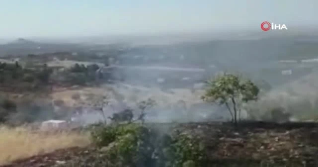 Şanlıurfa’daki orman yangını büyümeden kontrol altına alındı
