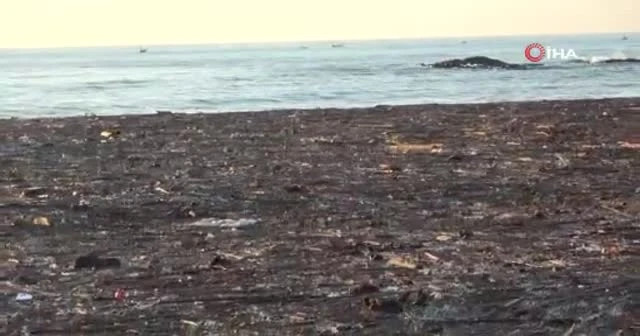 Selin sürüklediği ağaçlar deniz yüzeyini kapladı