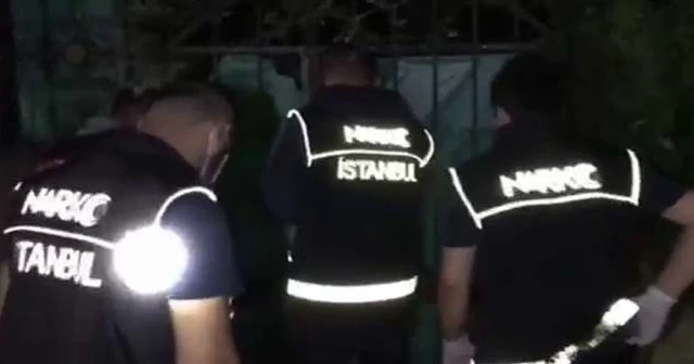 188 kilo Hint keneviri bitkisi ele geçirildi
