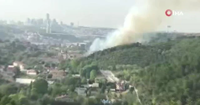 Beykoz Anadolu Hisarı'nda orman yangını