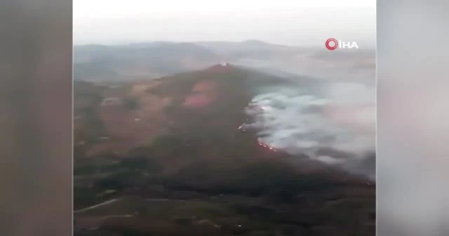 Brezilya'da yangınlar dünyanın en büyük sulak alanını tehdit ediyor