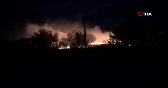 Çanakkale’de orman yangını
