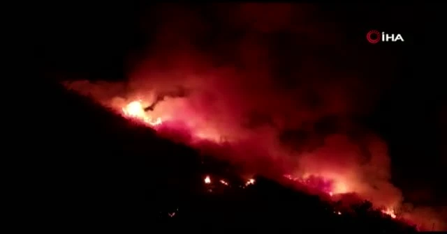 Elazığ’da orman yangınına müdahale sürüyor