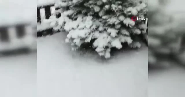 İsviçre’de kar kalınlığı 25 santimetreye ulaştı