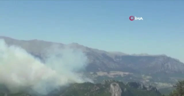 Osmaniye’de orman yangını