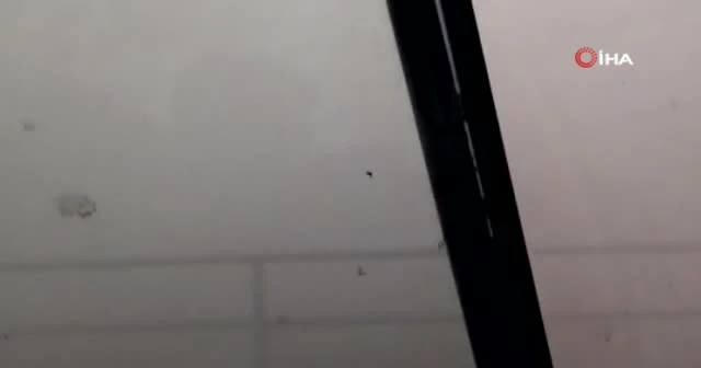 Polatlı'daki toz fırtınasında hayvanların kaçışı kamerada