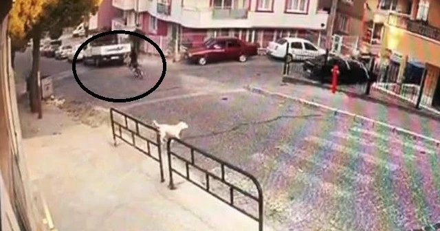 Sokak köpeklerinden kaçarken canından oldu