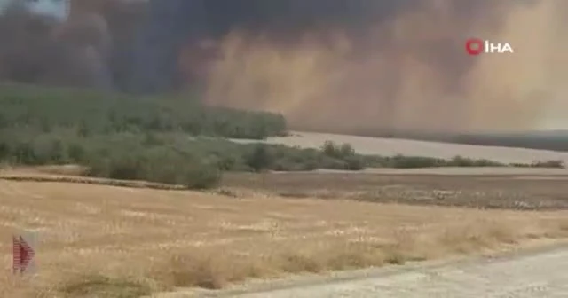 Tekirdağ’da orman yangını: Rüzgarın etkisiyle yangın Çanakkale’ye sıçradı