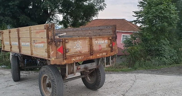 Traktörüyle seyir halindeyken arı soktu, hayatını kaybetti